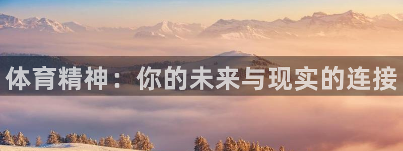 体育精神：你的未来与现实的连接