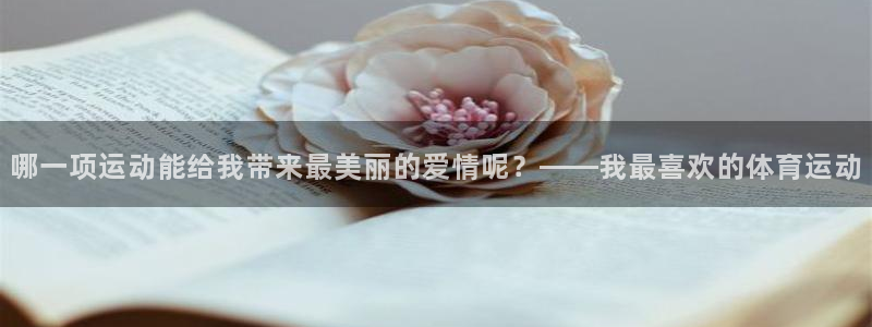哪一项运动能给我带来最美丽的爱情呢？——我最喜欢的体育运动